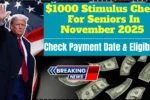 1000-stimulus-check-for-seniors-2025