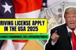 Driving License Apply In The USA 2025