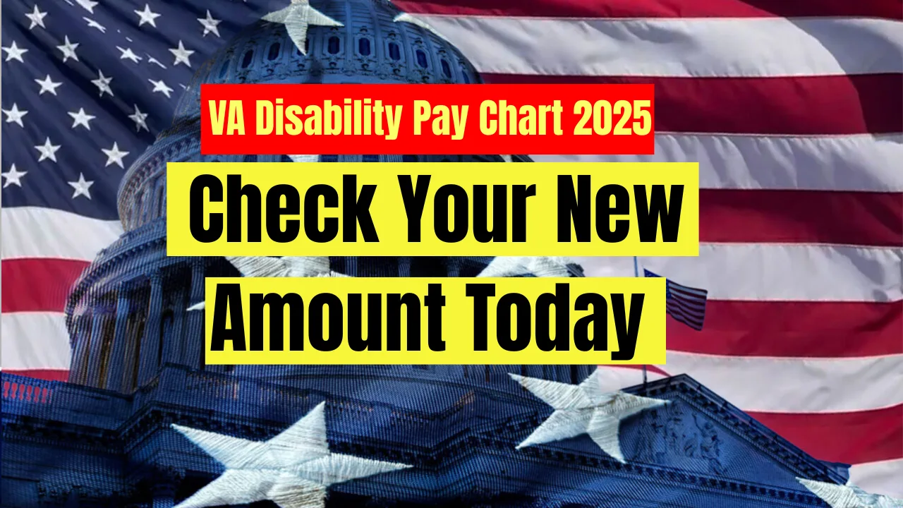 VA Disability Pay Chart 2025
