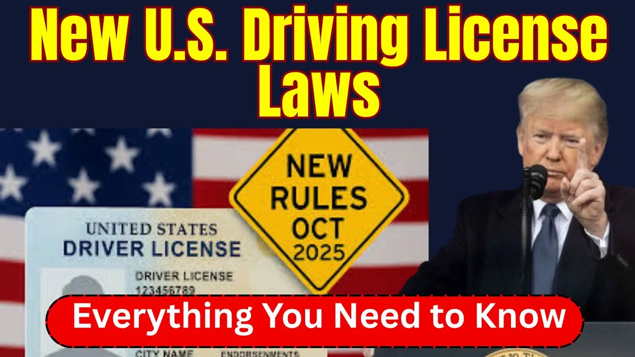 new-u-s-driving-license-laws