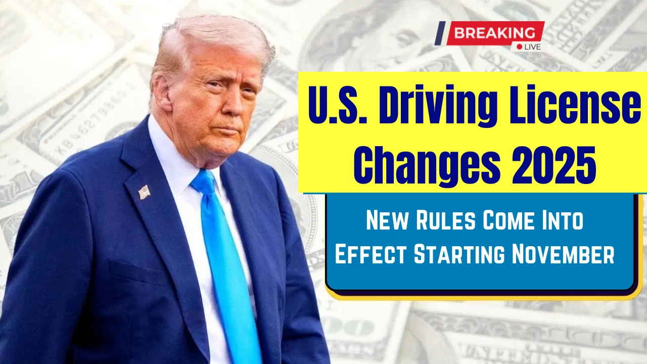 U.S. Driving License Changes 2025